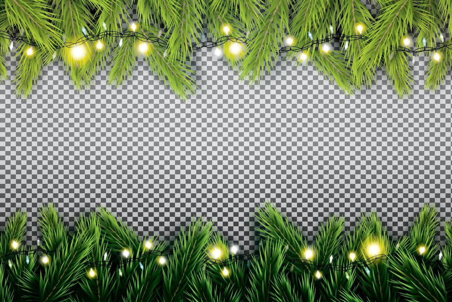 Fir Branch with Neon Lights on Transparent Background. vector