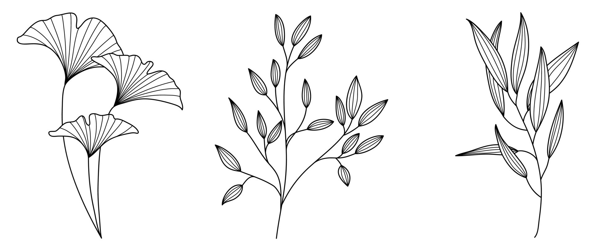 Set of hand drawn line art leaf branch vector. Botanical leaf branch