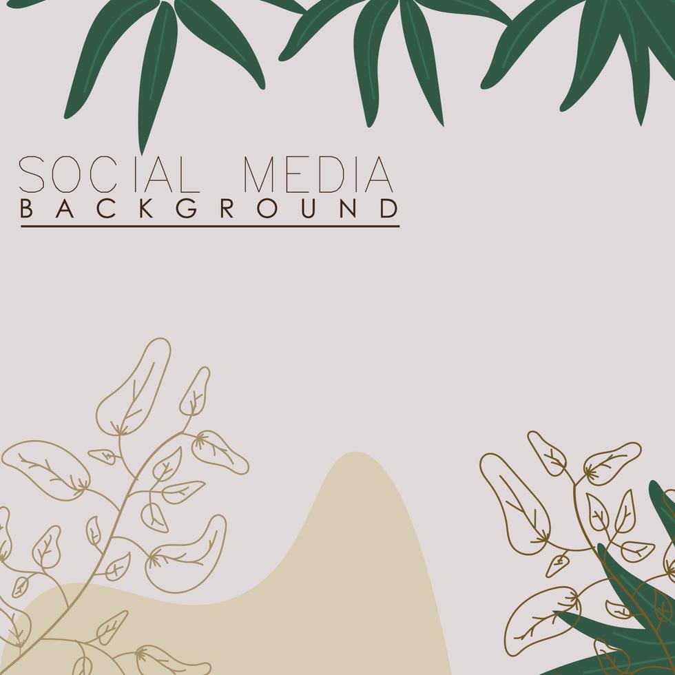 vector botanic, flowers, plants banner background square social media post,