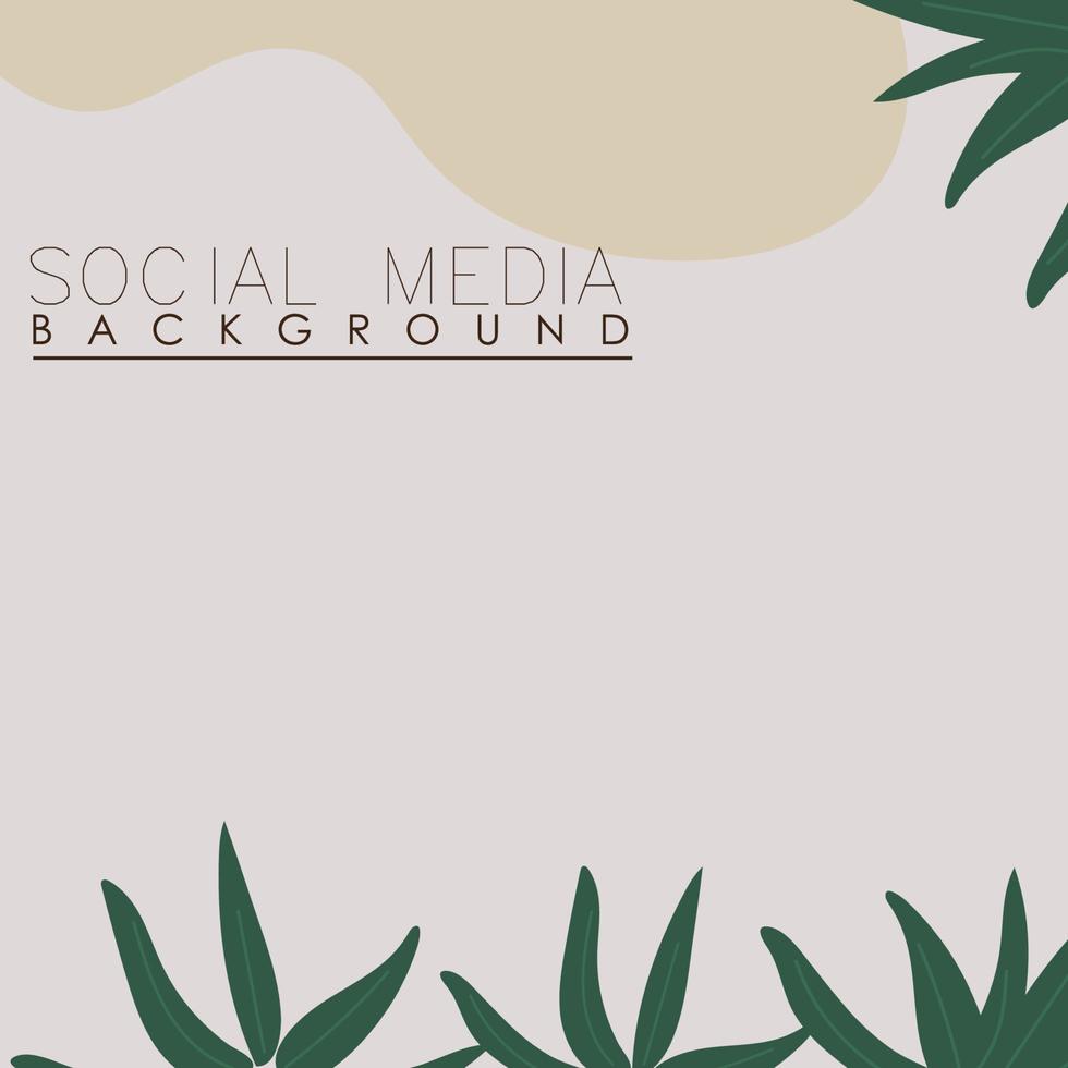 vector botanic, flowers, plants banner background square social media post,