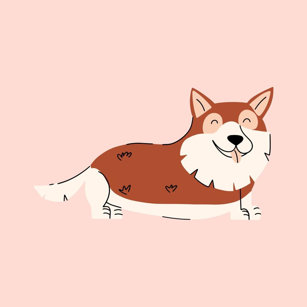 Welsh corgi pembroke. Cute purebred puppy. Vector illustration in flat style