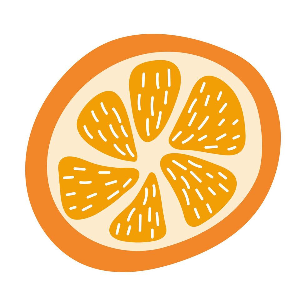 Cozy fresh and ripe delicious orange slice fruit isolated on white background vector