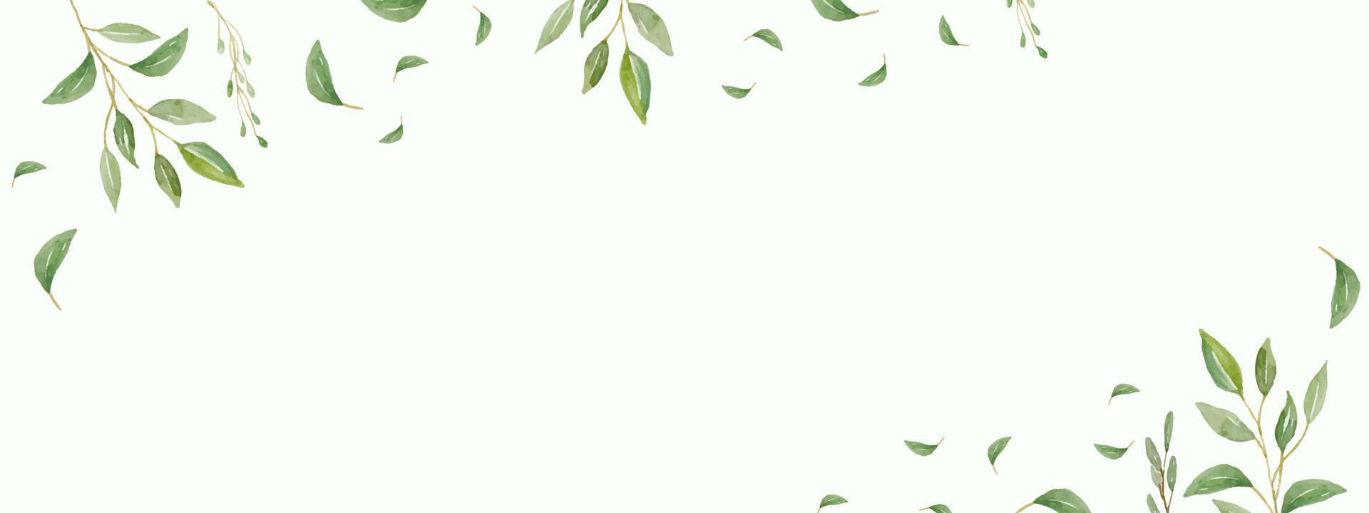 Herbal minimalist and modern vector banner with free space for text. Hand painted plants, branches, leaves on a white background. Greenery wedding simple horizontal template.