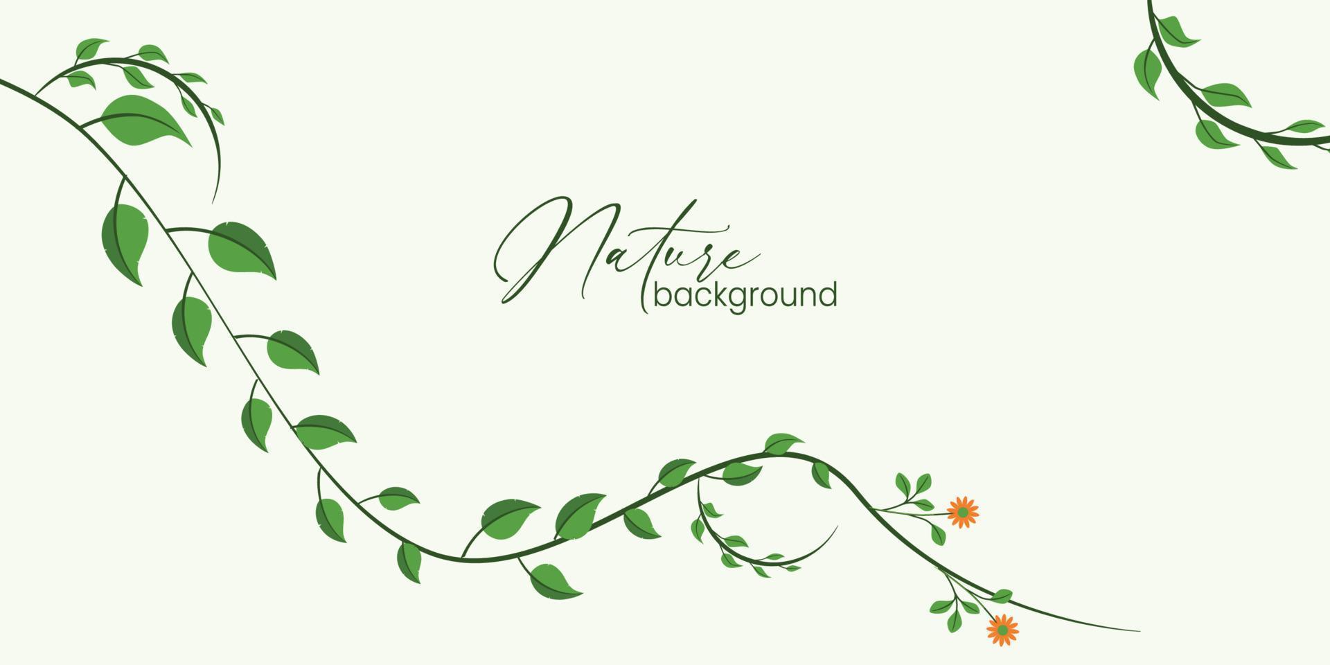 banner vectorial minimalista y moderno a base de hierbas. plantas pintadas a mano, ramas, hojas sobre un fondo blanco. plantilla horizontal simple de boda verde. todos los elementos están aislados y editables vector