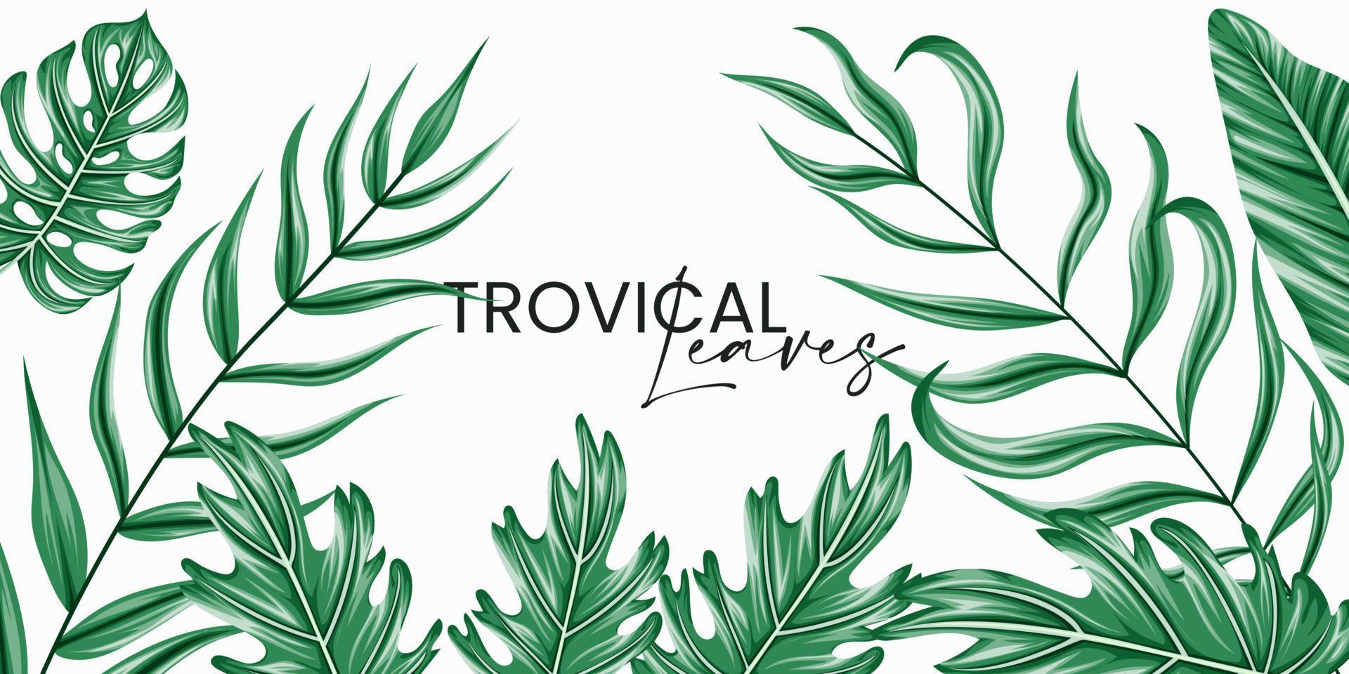 Vector horizontal tropical leaves banners on white background. Exotic botanical design for cosmetics, spa, perfume, health care products, aroma, wedding invitation.