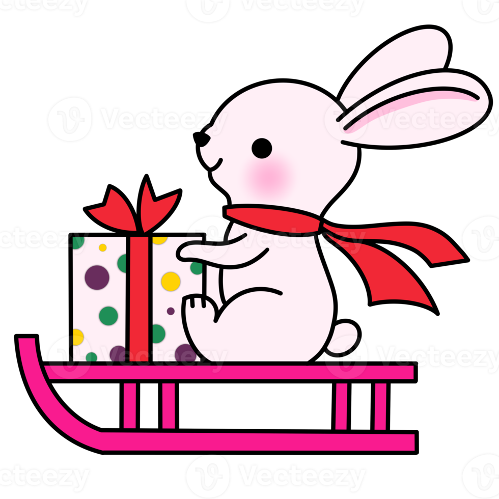 Cute Rabbit and New Year Gift png