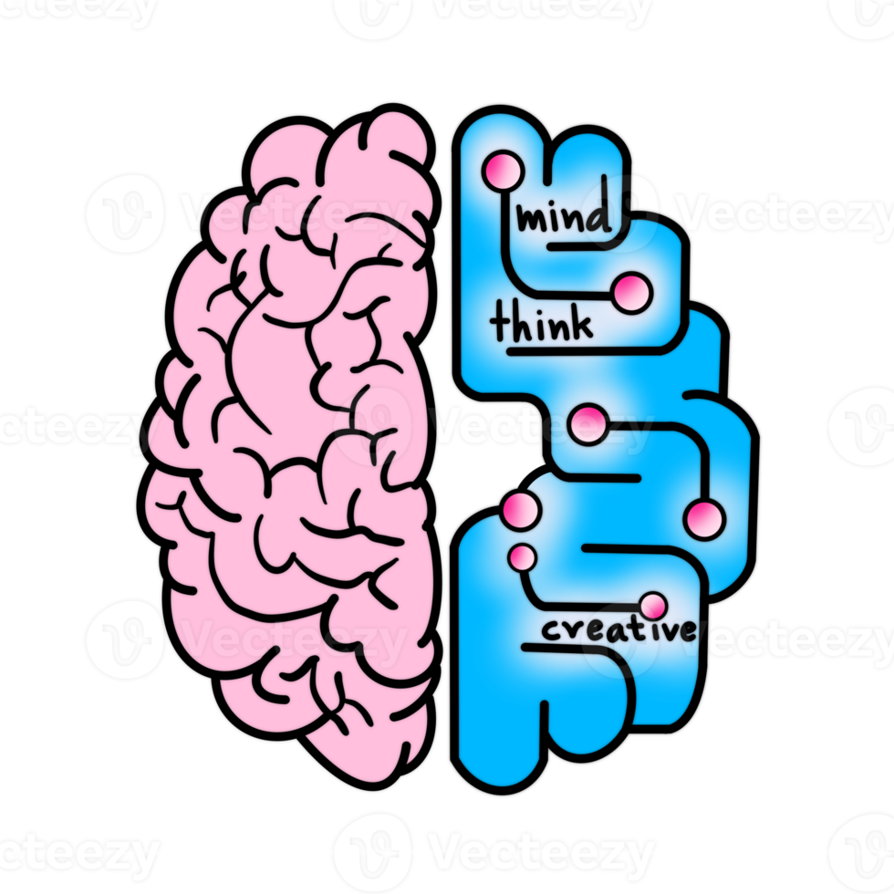 cerveau numérique couleur png