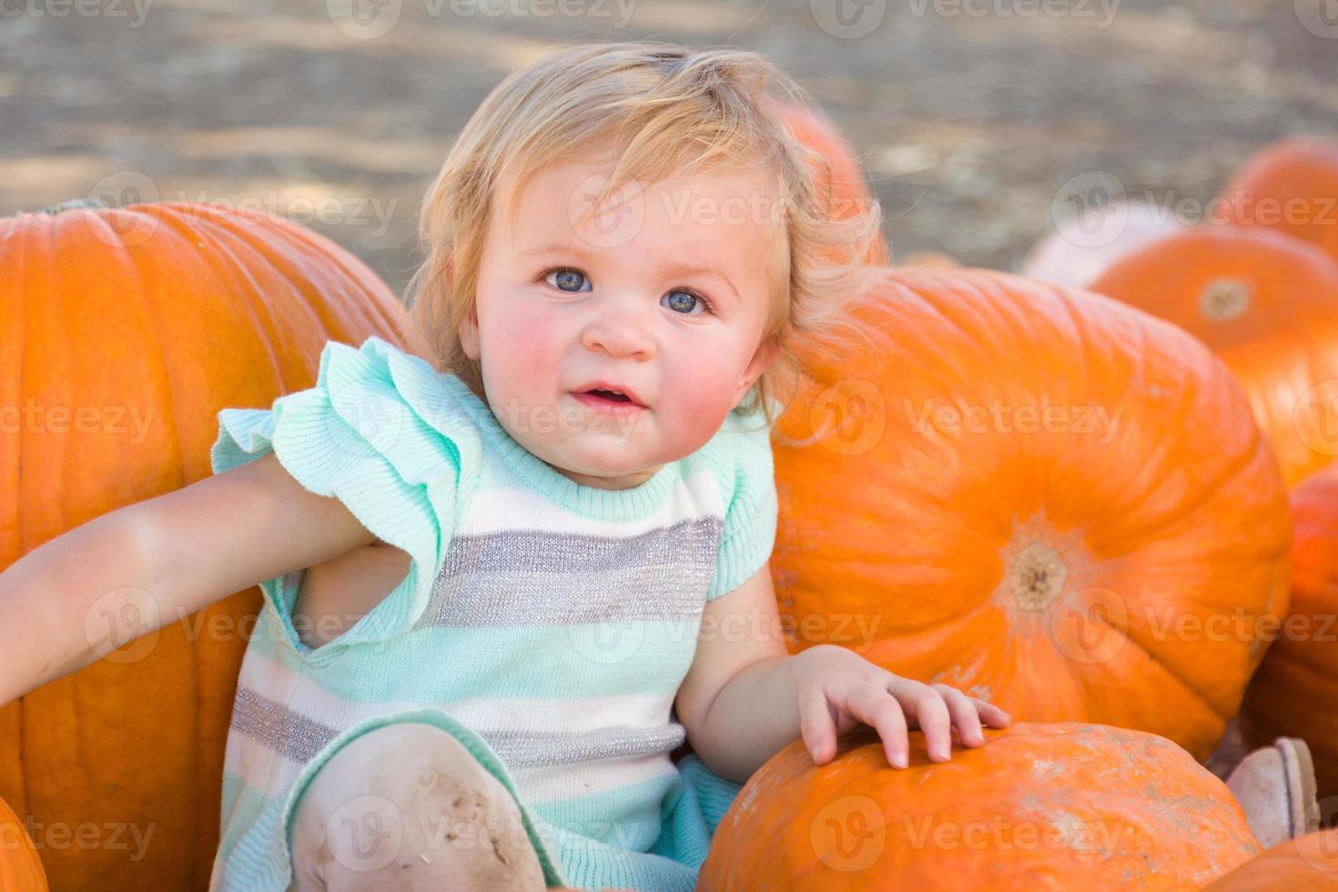 Adorable Baby Girl Having Fun in a Rustic Ranch Setting at the Pumpkin Patch. photo