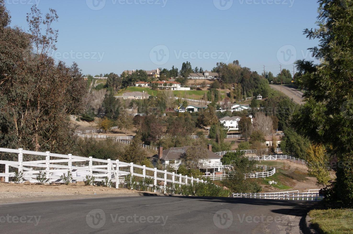 Contemporary Suburban Neighborhood photo