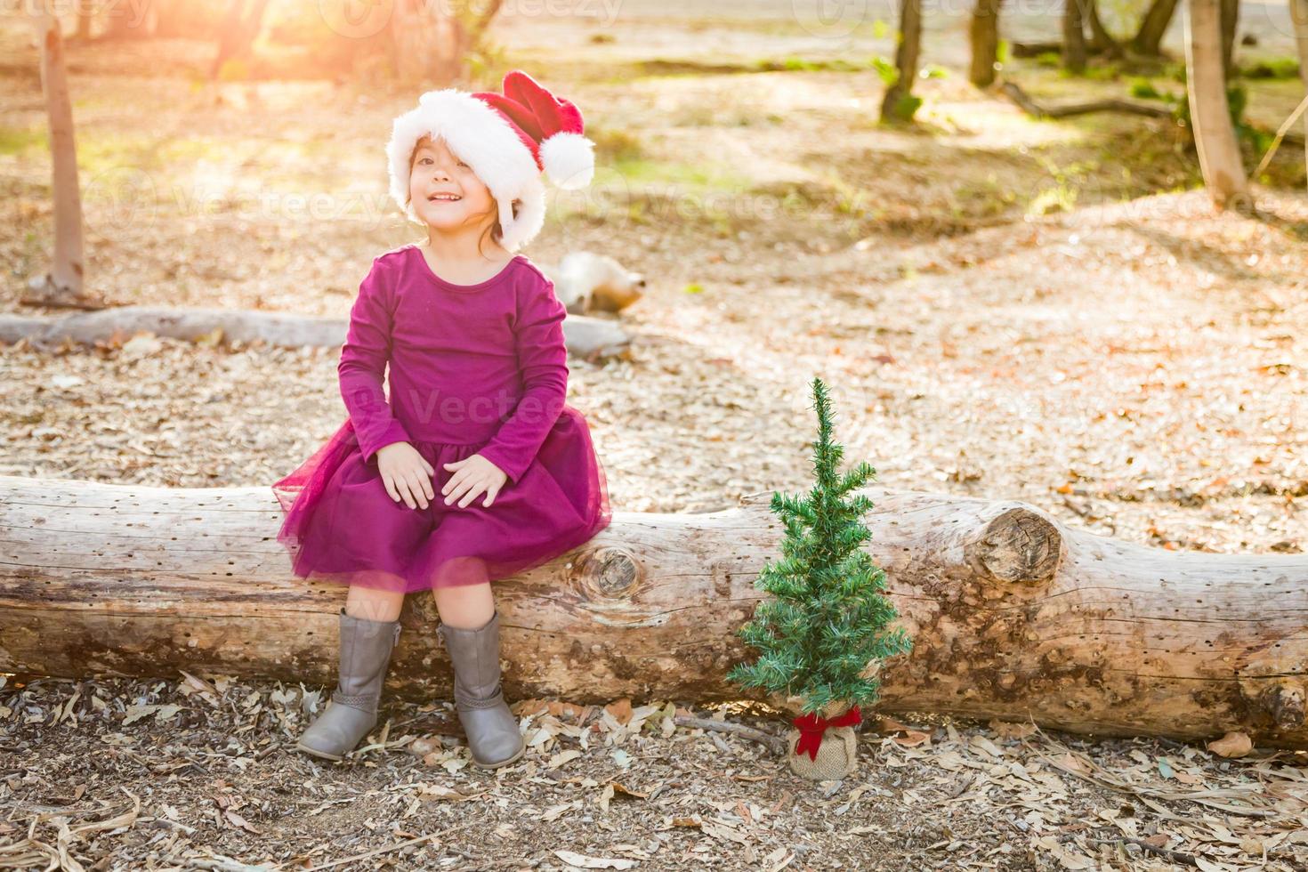 Cute Mixed Race Young Baby Girl Having Fun With Santa Hat and Christmas Tree Outdoors On Log photo