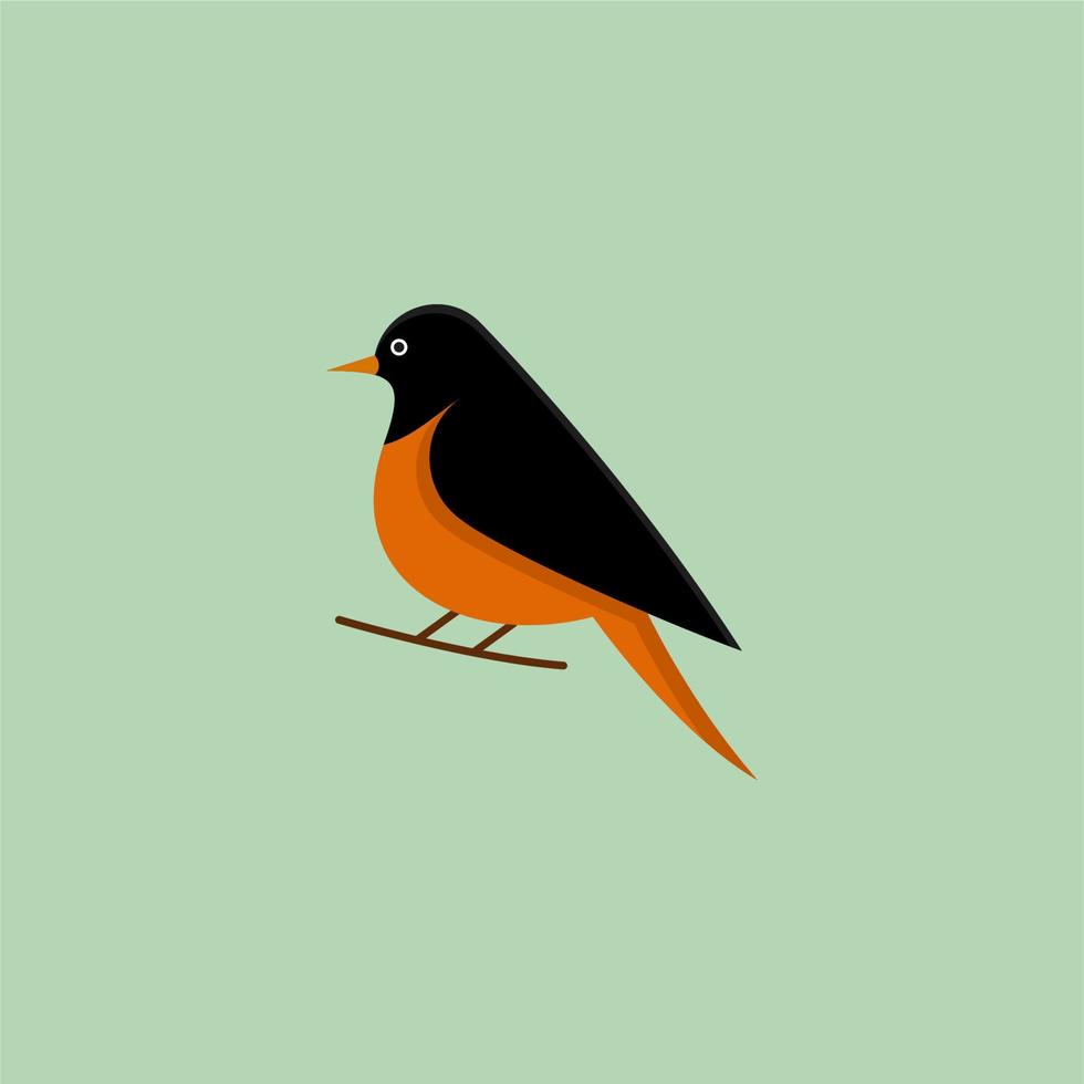 Robin Cartoon Design vector