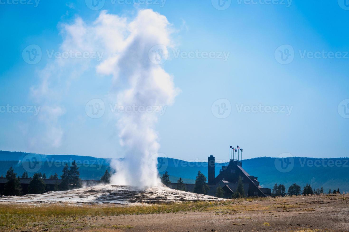 Old Faithful Geyser Erupting at Yellowstone National Park. photo