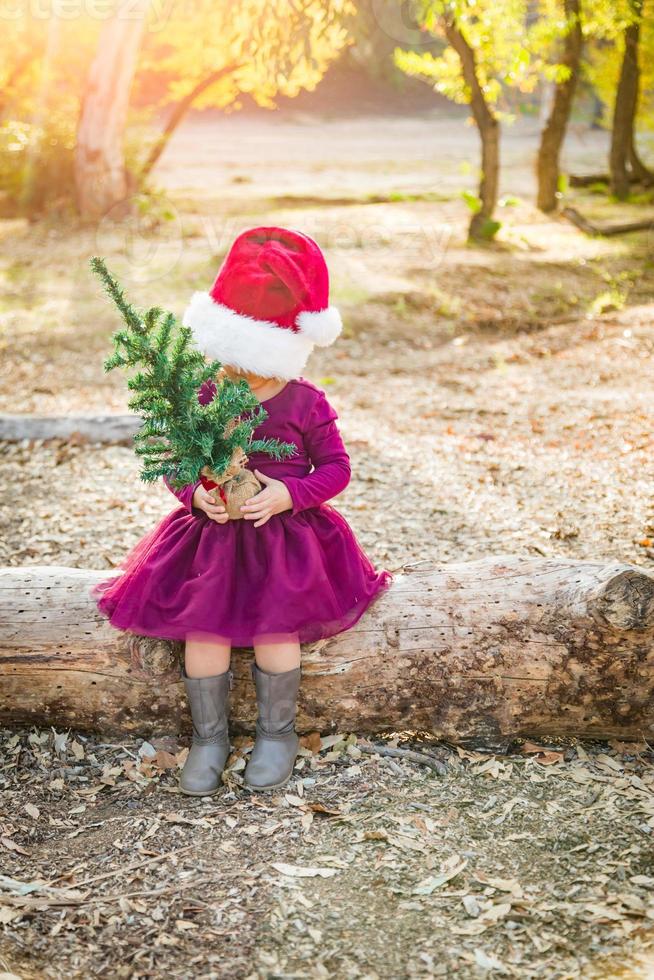 Cute Mixed Race Young Baby Girl Having Fun With Santa Hat and Christmas Tree Outdoors On Log photo