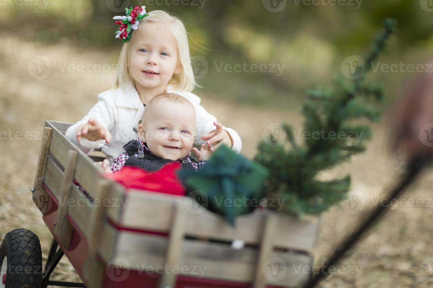hermanito y hermana tirados en vagón con árbol de navidad foto