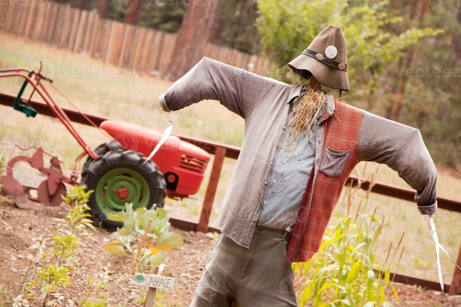 View of a scare crow photo