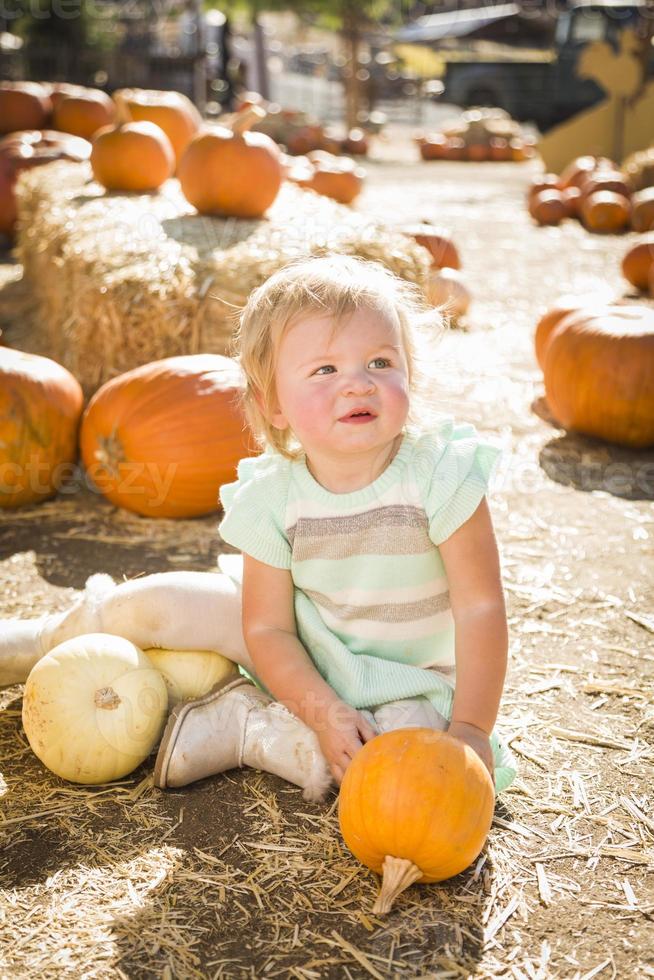 Adorable Baby Girl Holding a Pumpkin at the Pumpkin Patch photo