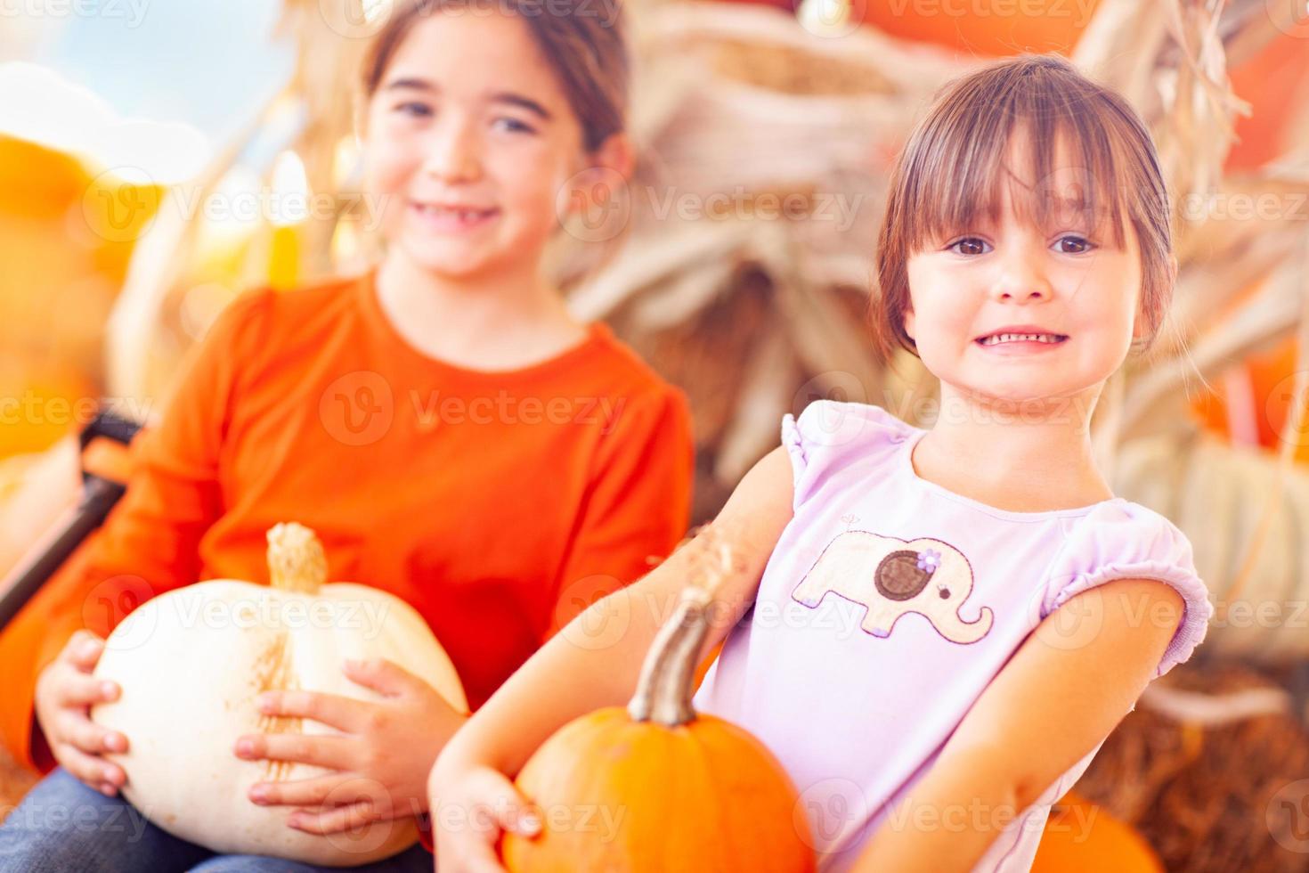 Adorable Little Girls Holding Pumpkins At A Pumpkin Patch photo