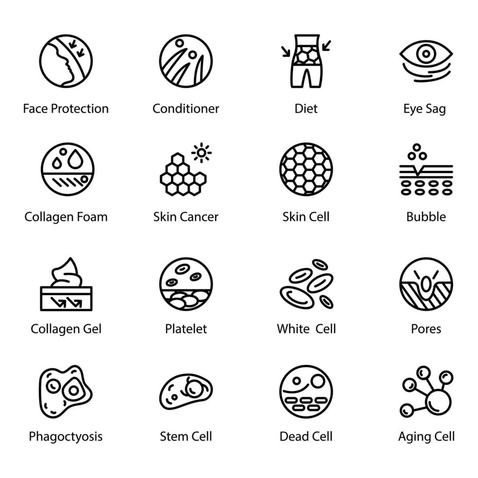 Pack of Skin and Dermatology Icon Set vector