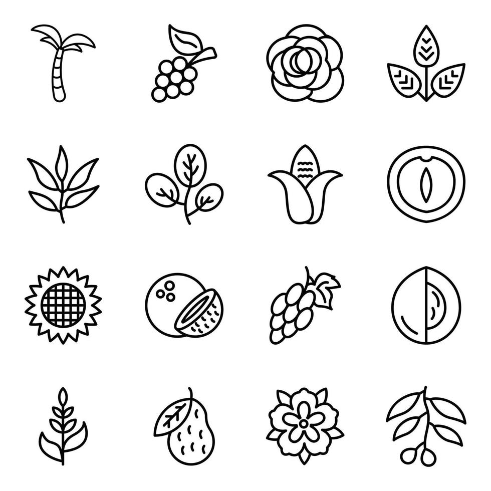 Natural Food and Plant Icons vector