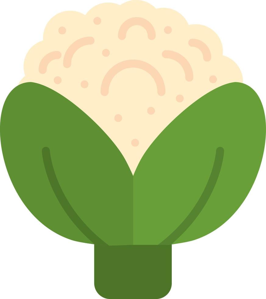 Cauliflower Vector Icon Design