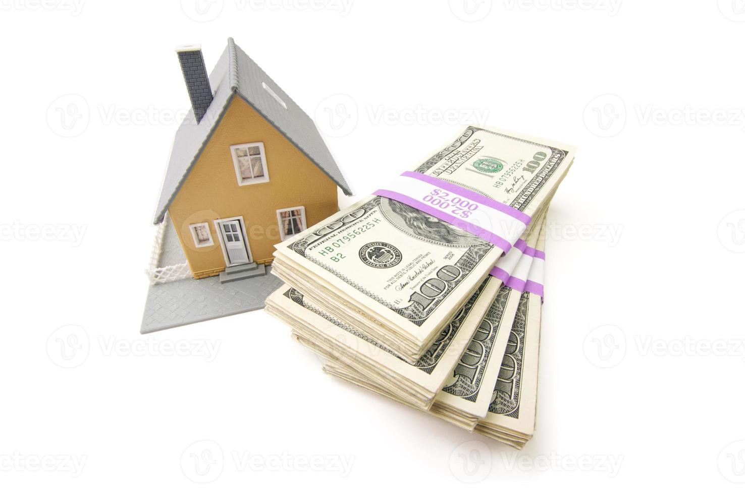 Home and Stacks of Money Isolated photo