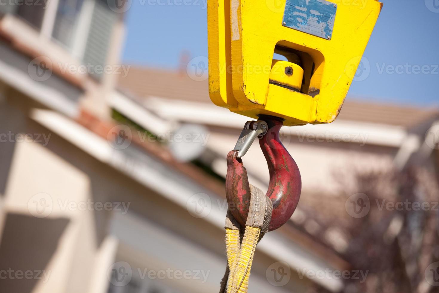 Yellow Crane Head with Red Hook photo