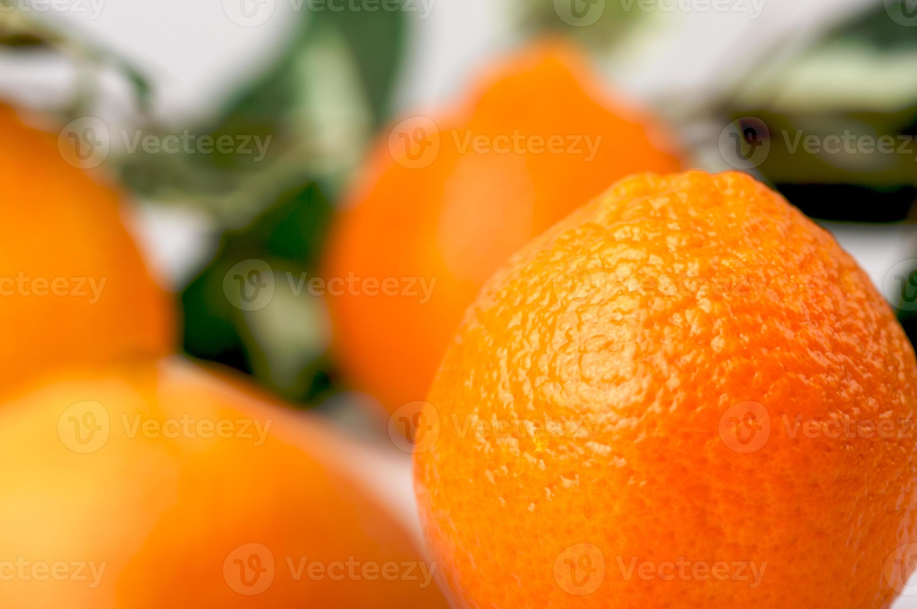 Clementine Oranges Closeup 16443313 Stock Photo at Vecteezy