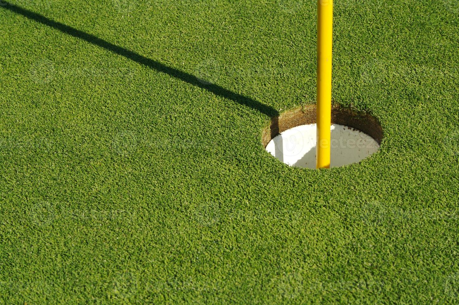 Lush, Freshly Mowed Golf Green and Flag photo