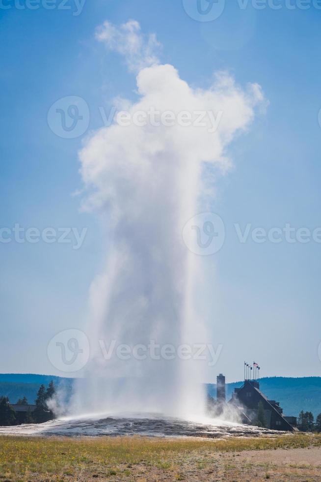 Old Faithful Geyser Erupting at Yellowstone National Park. photo