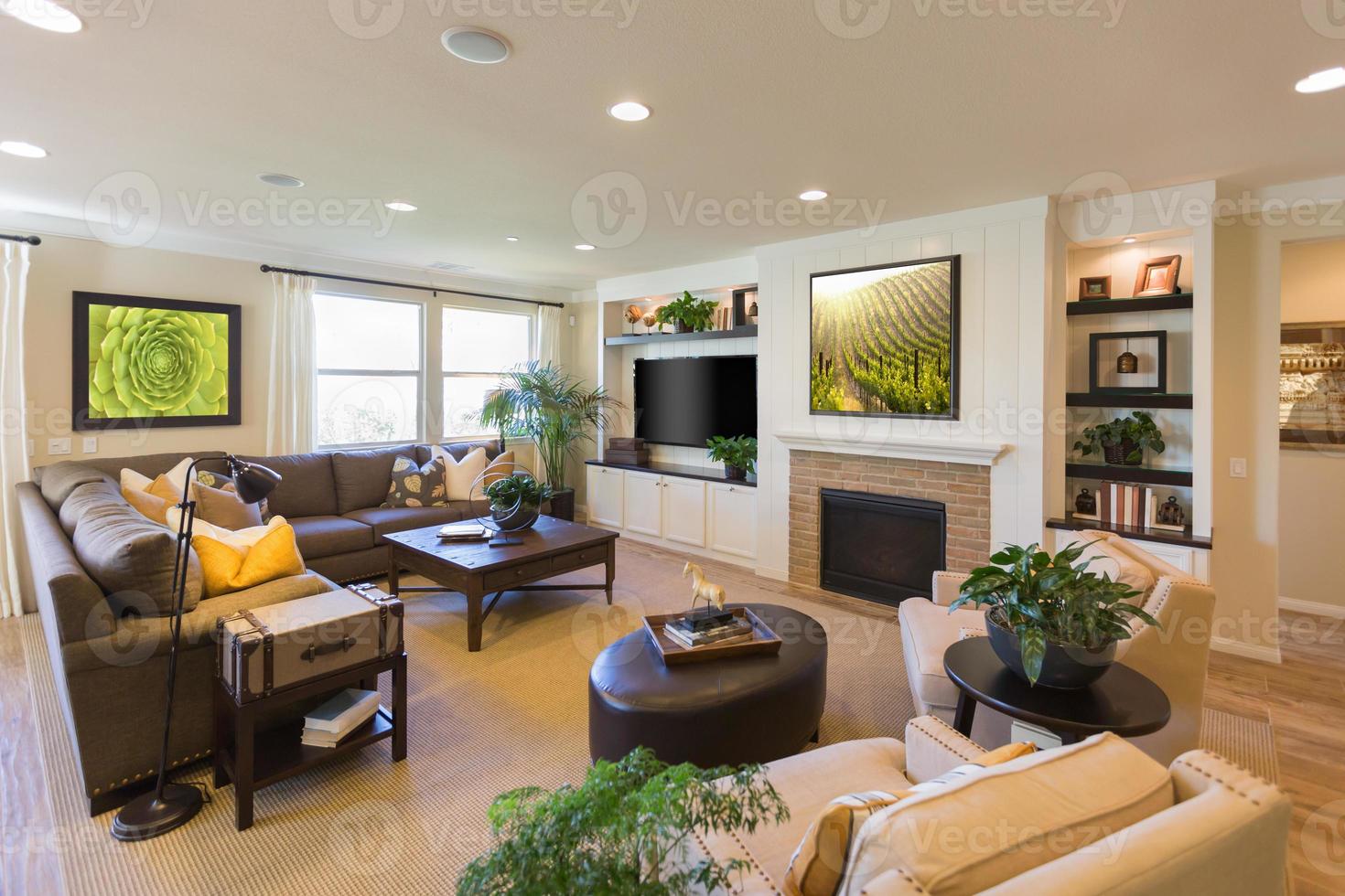 Beautiful Open Concept Interior Living Room of House photo