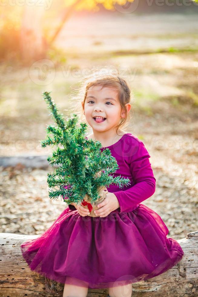 Linda niña de raza mixta divirtiéndose con el árbol de navidad al aire libre en el registro foto