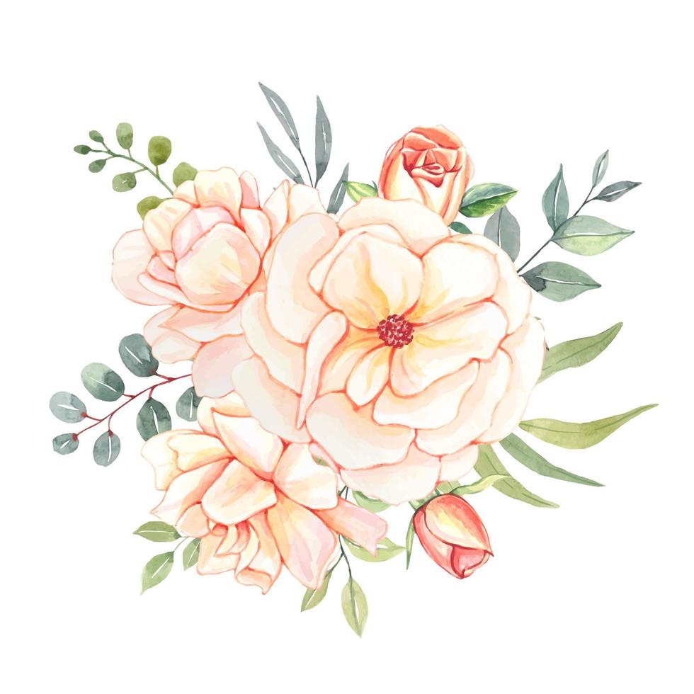 ramo de acuarela floral con delicadas rosas y hojas de rubor, aislado en fondo blanco vector