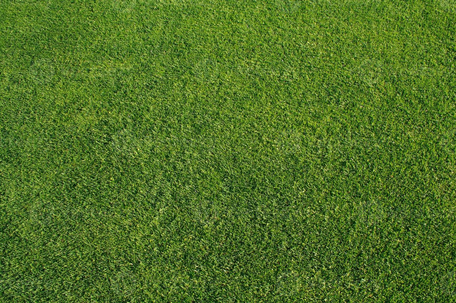 Close Cut Green Grass Background. photo