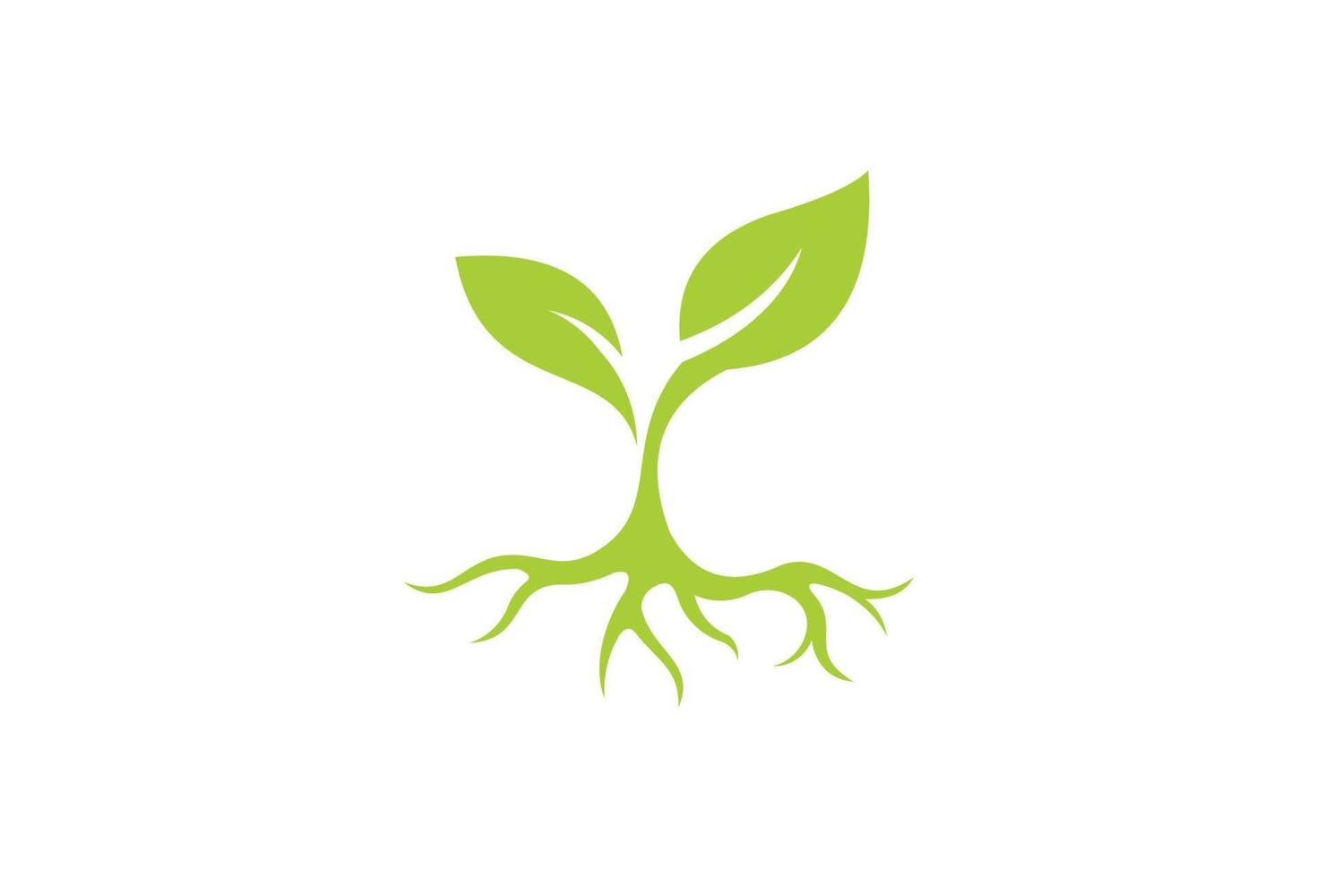 vector de icono de logotipo de semilla aislado