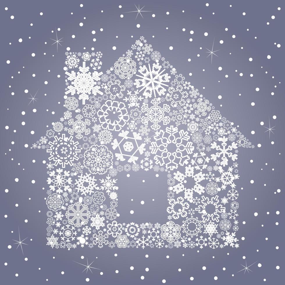 Snowflake the house vector