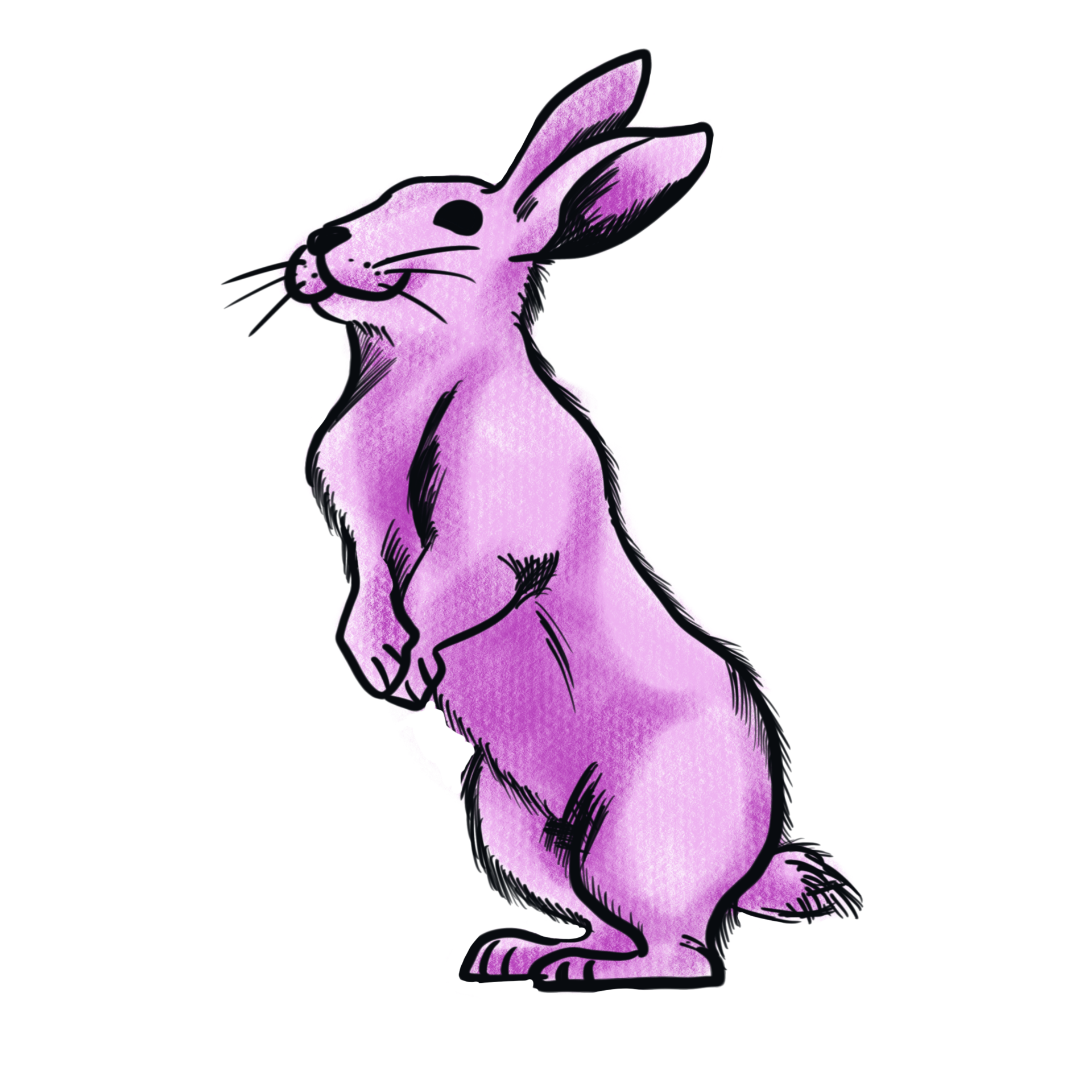 The pink rabbit png image 16457838 PNG The pink rabbit png image 16457838 PNG