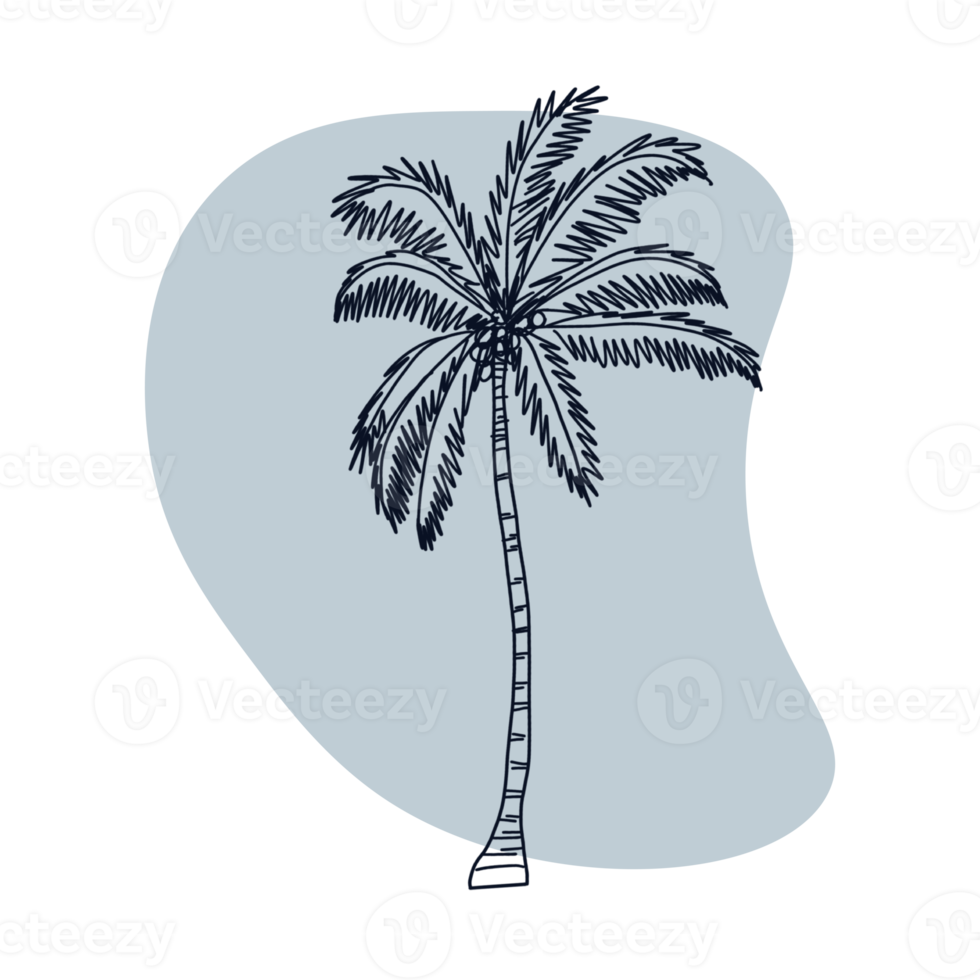 Botanical line art png