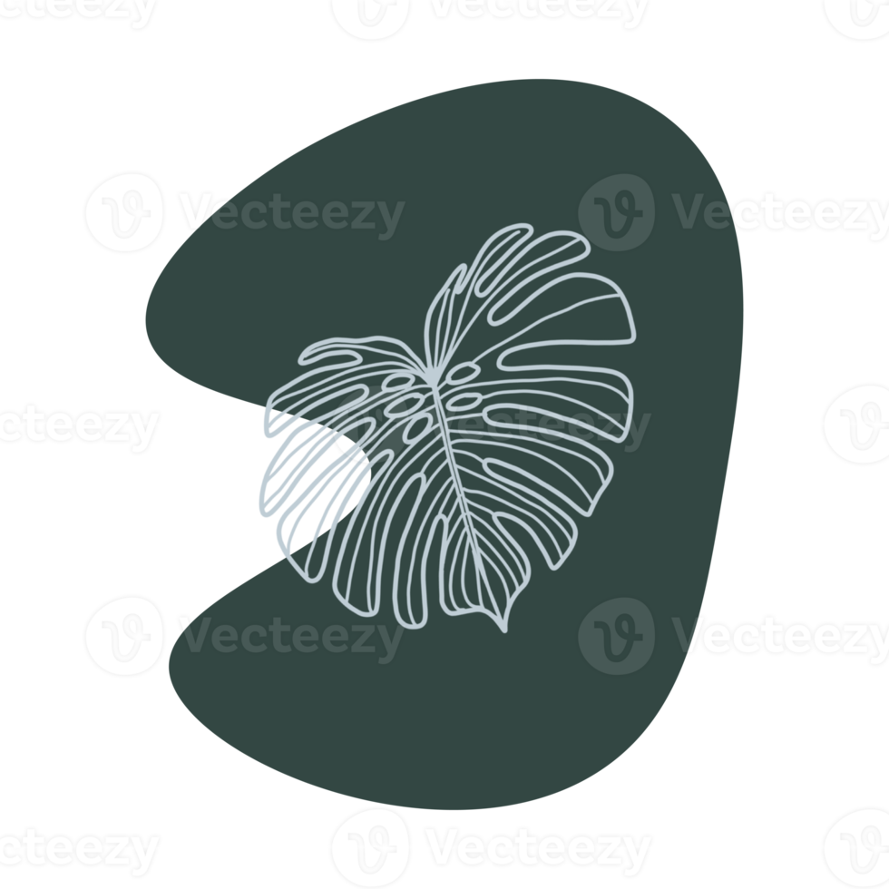 Botanical line art png