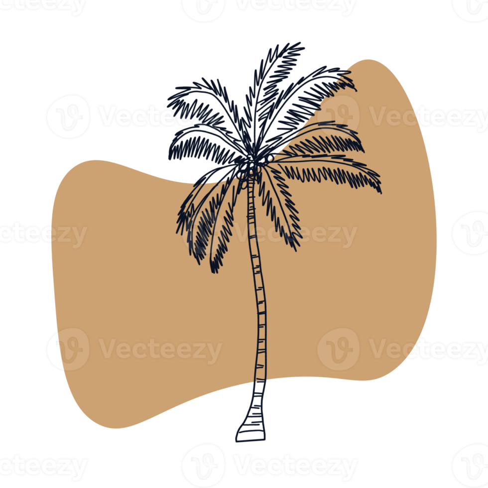 Botanical line art png