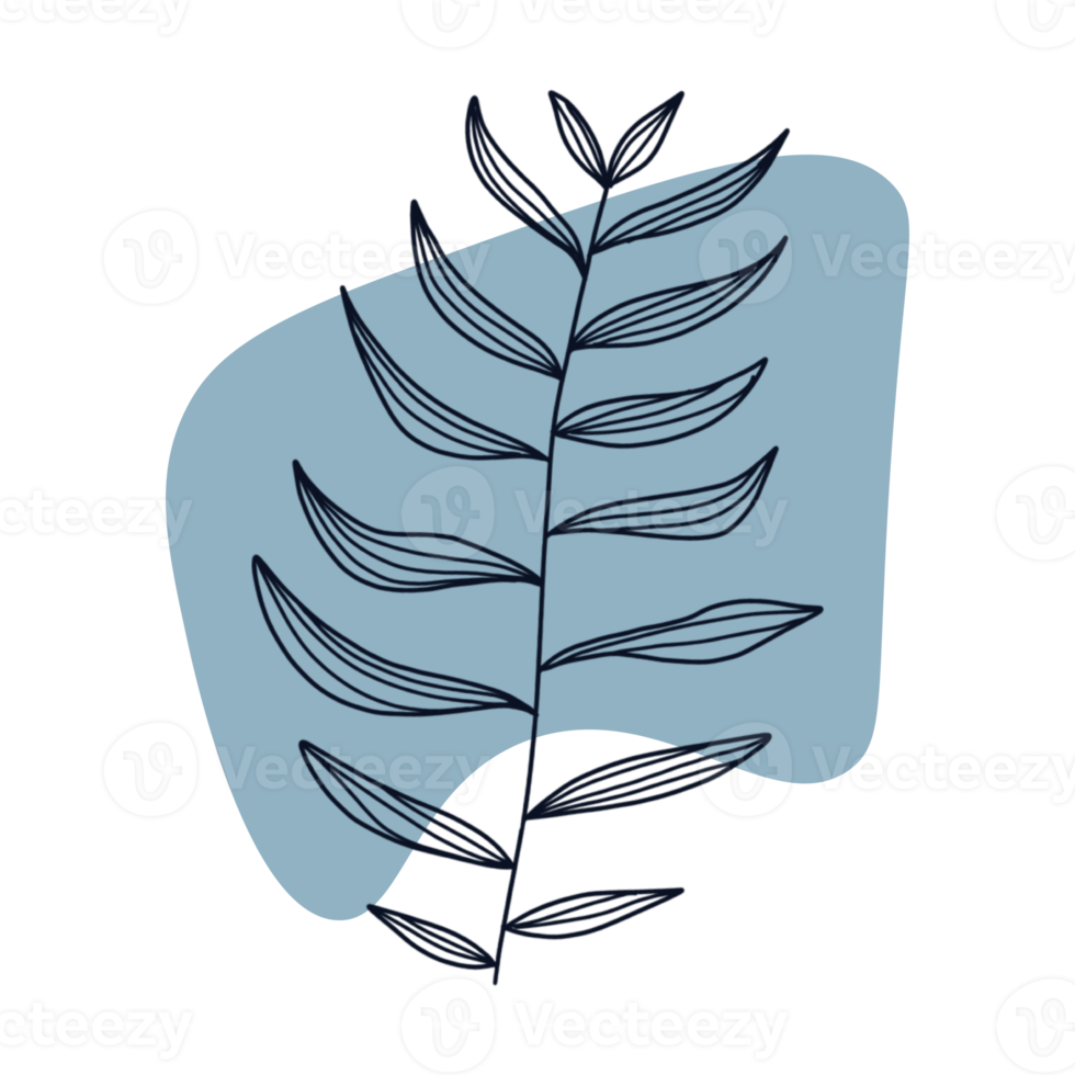 Botanical line art 16457985 PNG