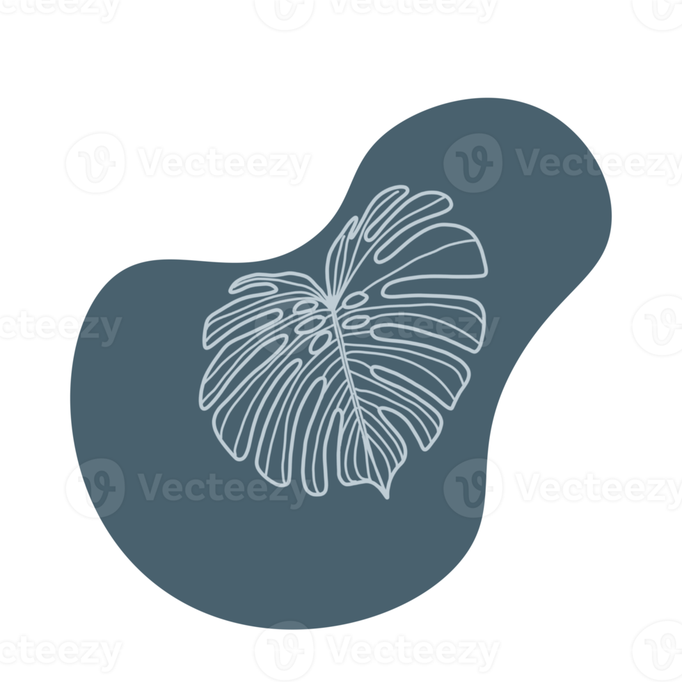 Botanical line art png