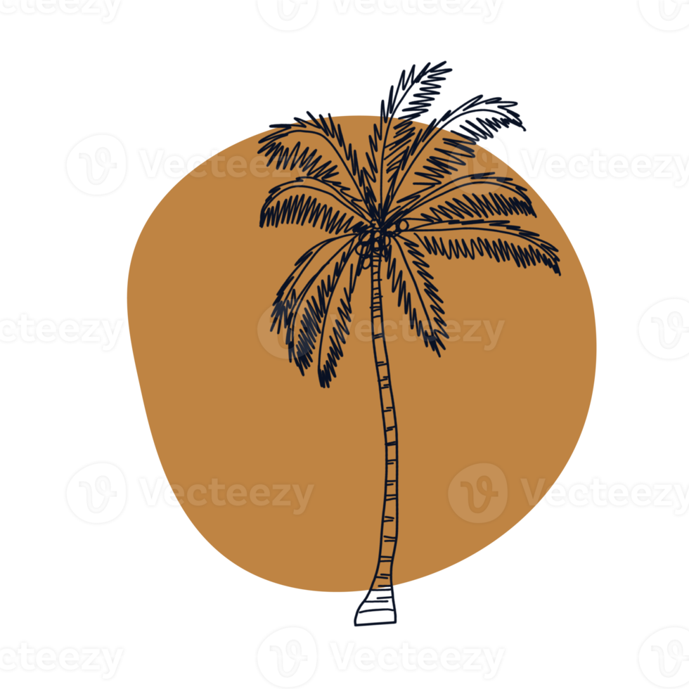 Botanical line art png