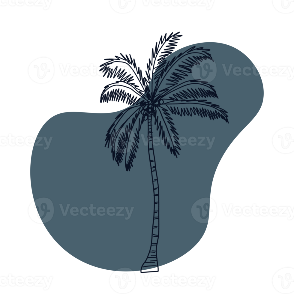 Botanical line art png