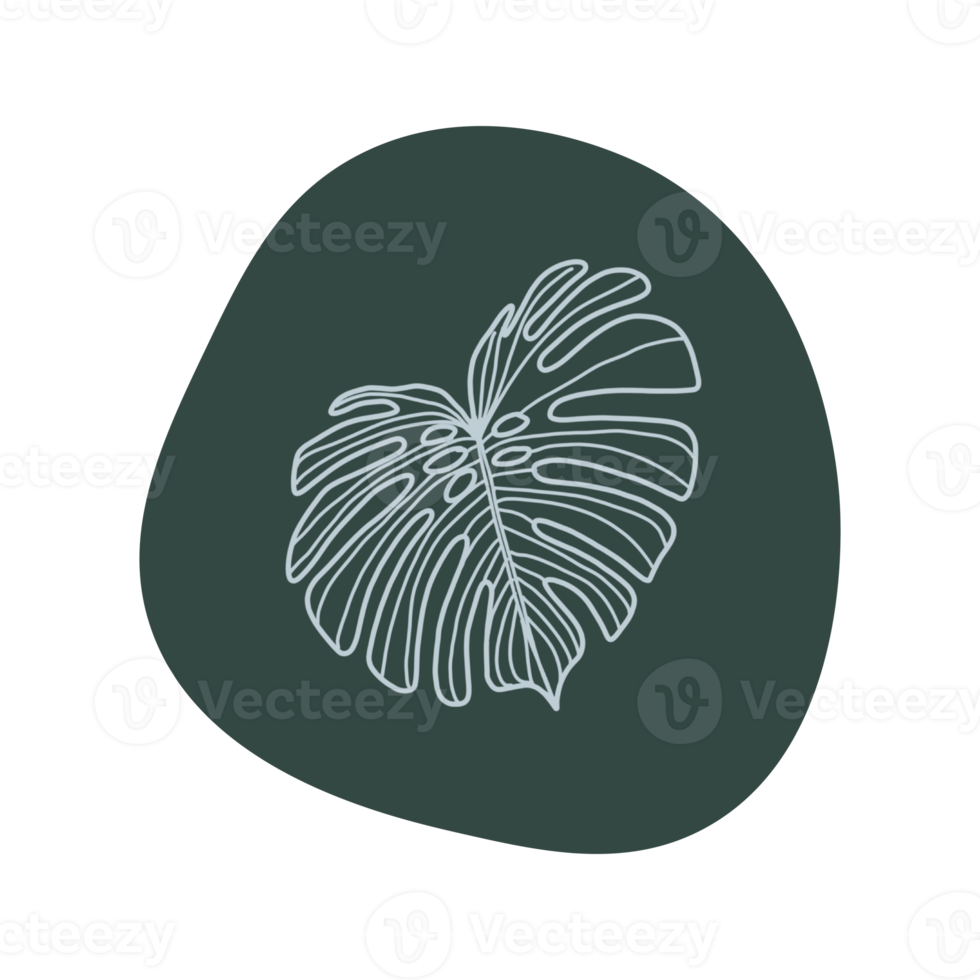 Botanical line art png