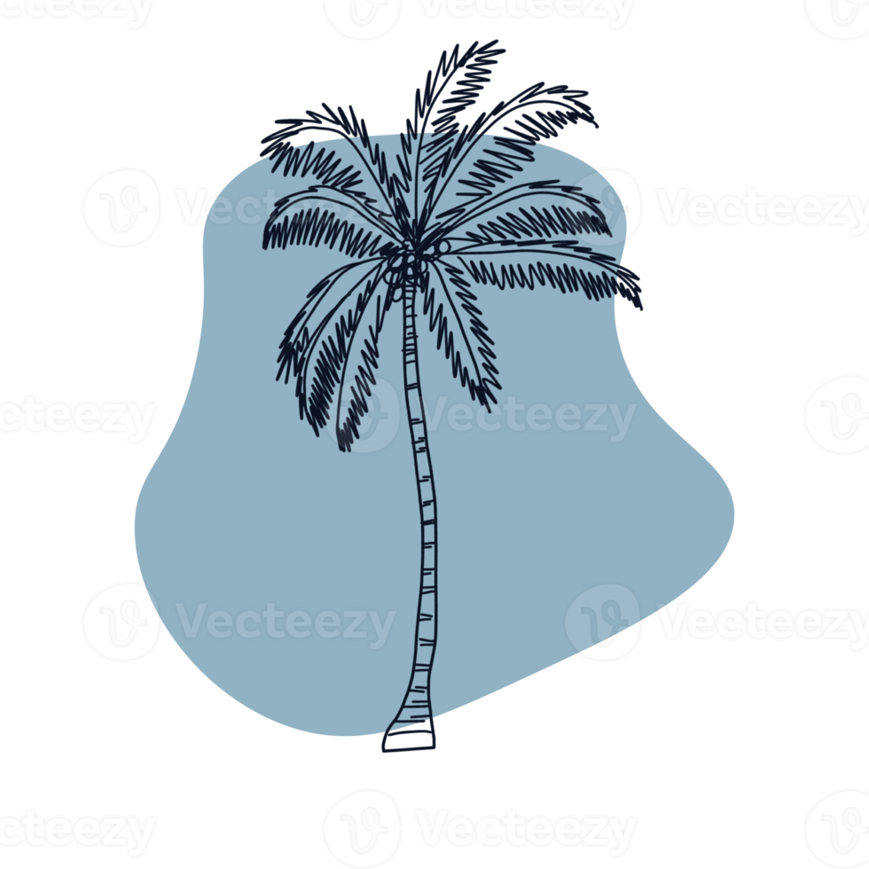 Botanical line art png