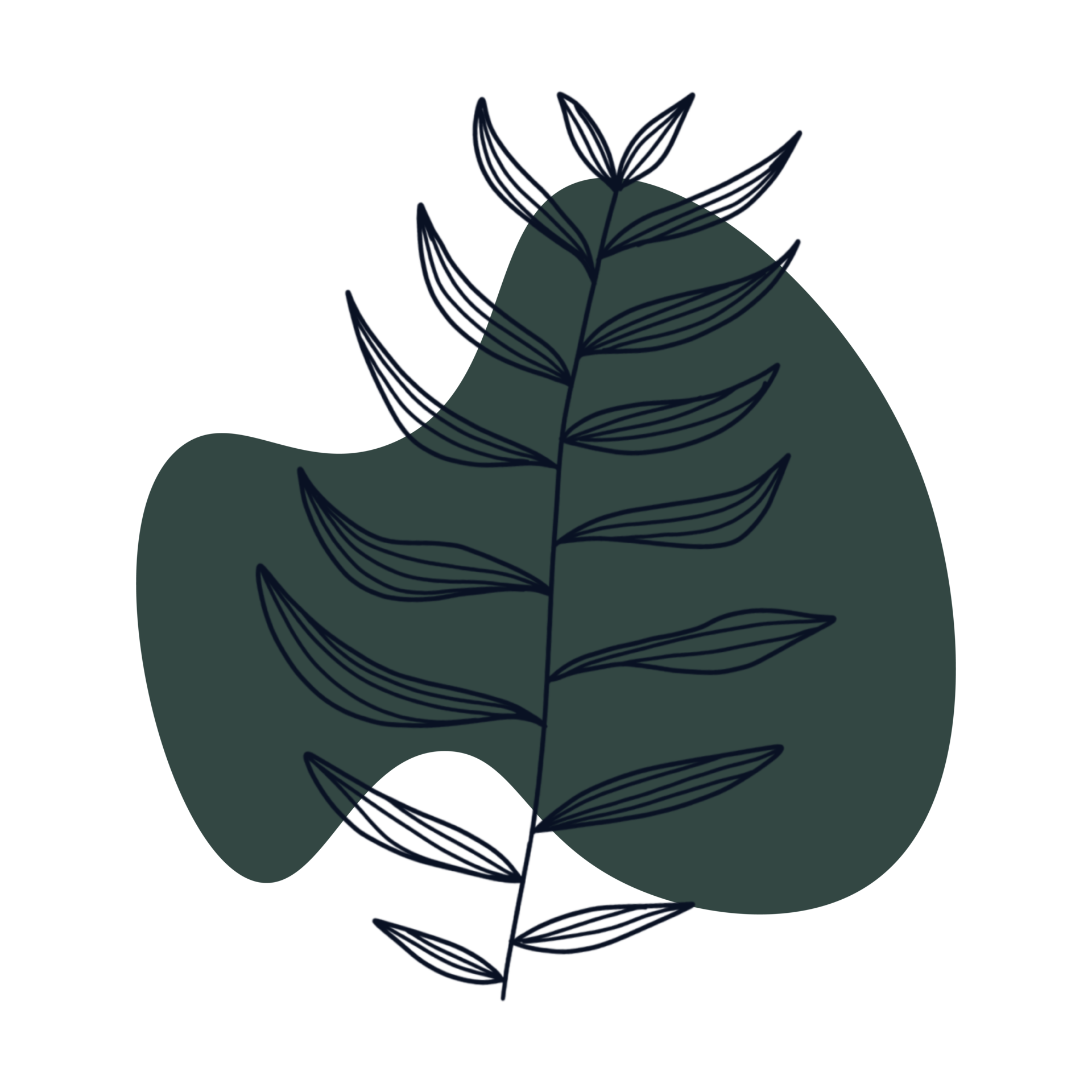 Botanical line art 16458038 PNG