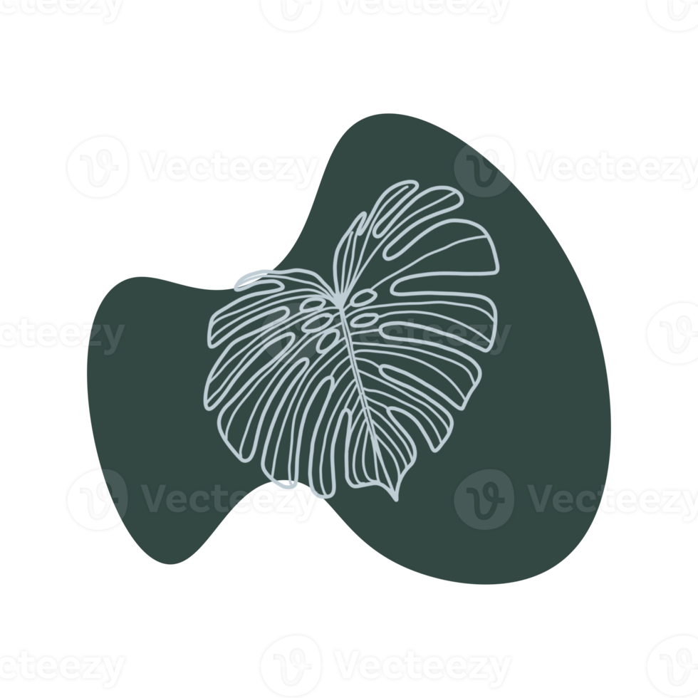 Botanical line art png