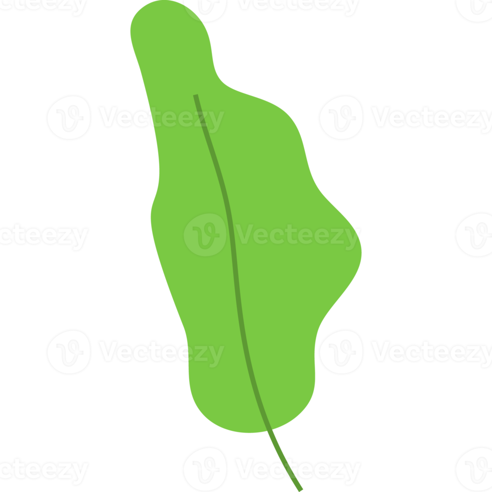 flat leaf icon hand drawn png