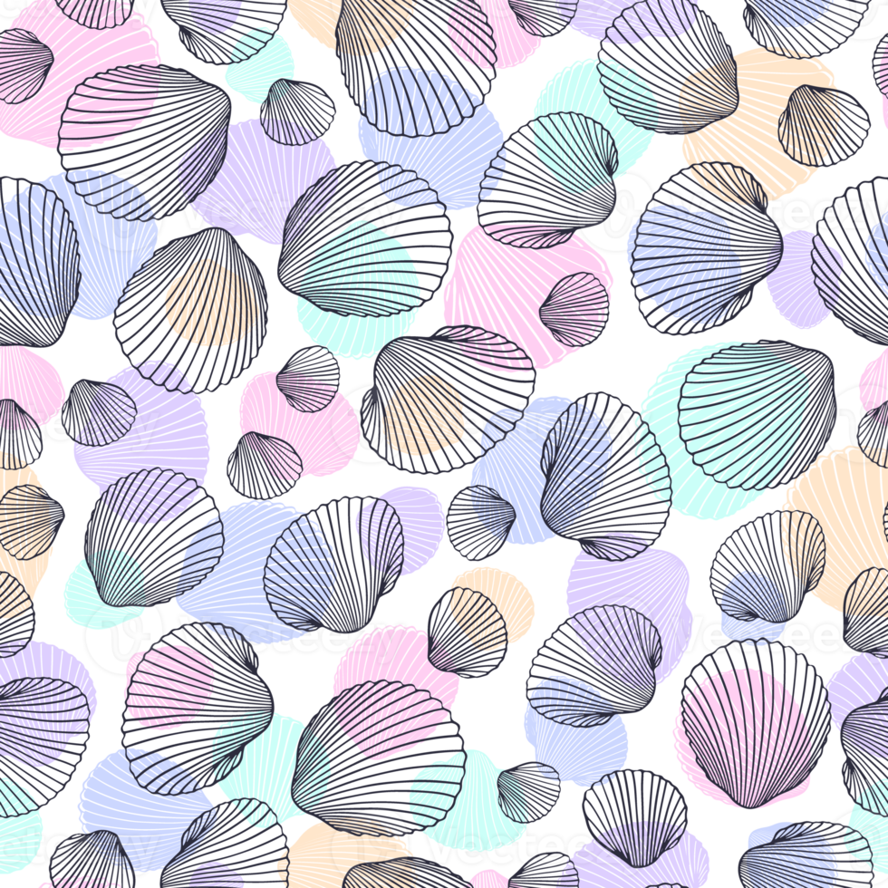 shell pattern hand drawn png