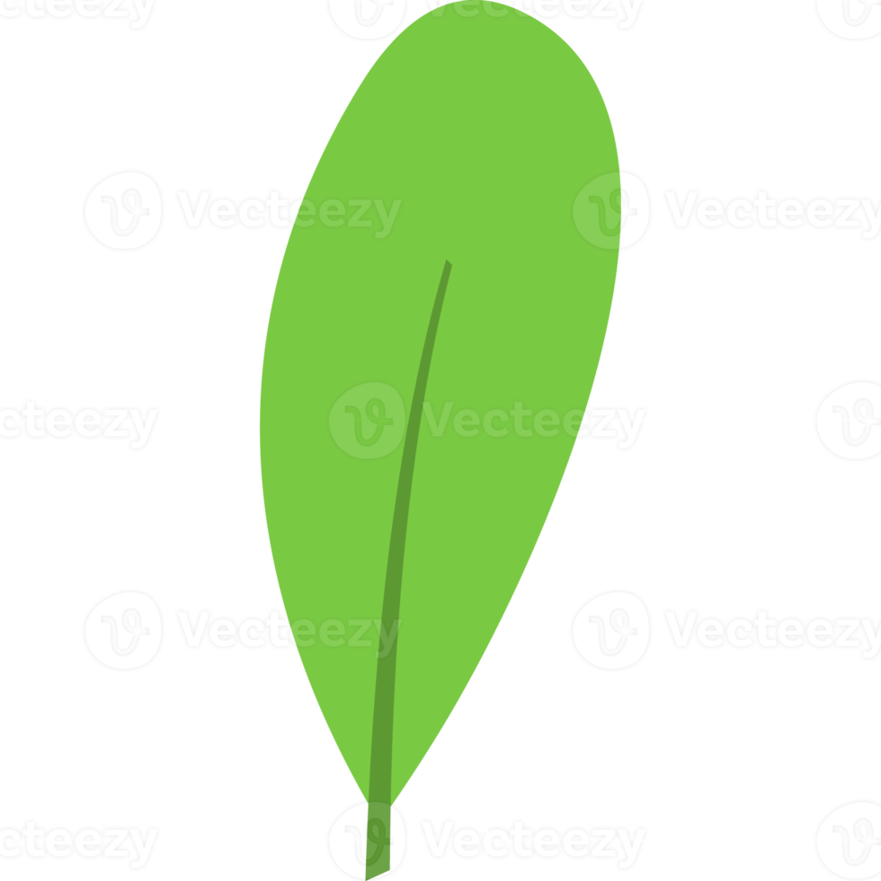 flat leaf icon hand drawn png